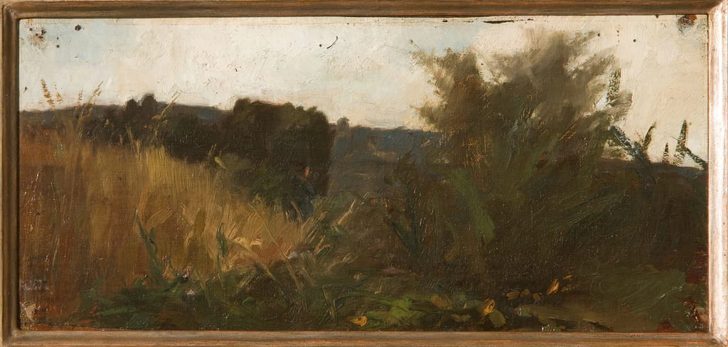 Studio della vegetazione - Assicoop, Unipol Collection, Modena